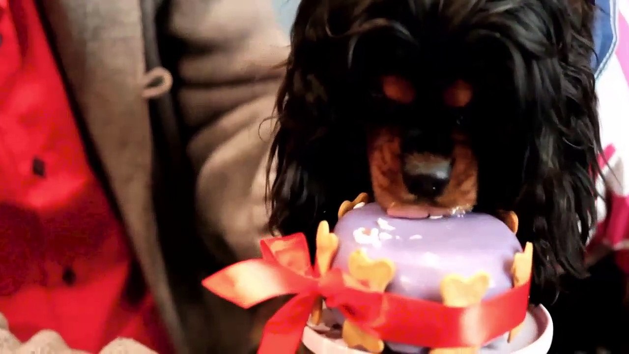 One Woman's sweet strategy for Dog Adoption