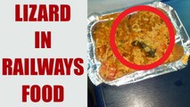 Fried Lizard in Indian Railways food, passenger fall sick | Oneindia News
