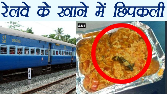 Indian Railways: Lizard in Veg Biryani Seved in train, Passenger complain Suresh Prabhu । वनइंडिया हिंदी