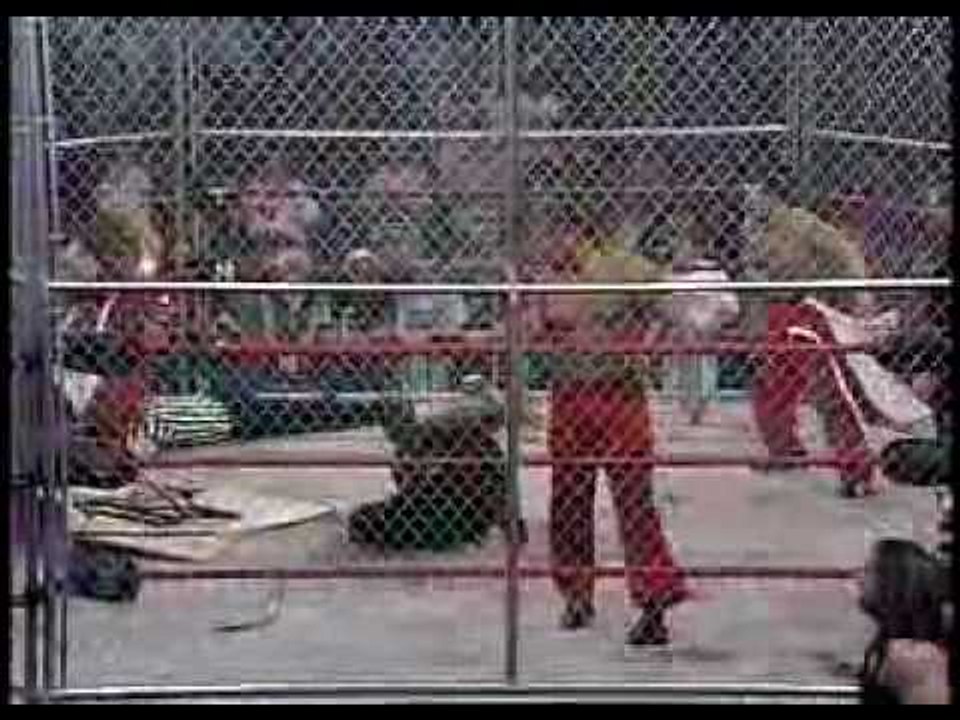 TNA: CANADA ANNIHILATES TEAM 3D IN THE CAGE