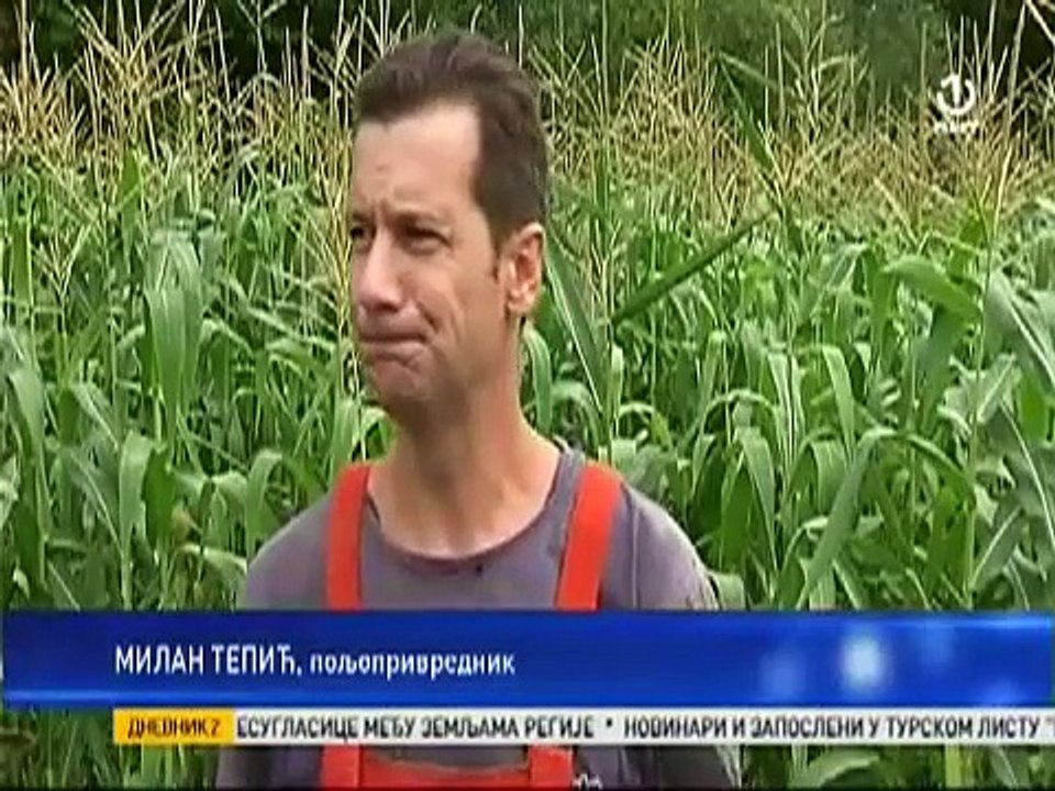 POSLJEDICE SUŠE: PRINOSI U BIH PREPOLOVLJENI, SLIJEDI POSKUPLJENJE HRANE