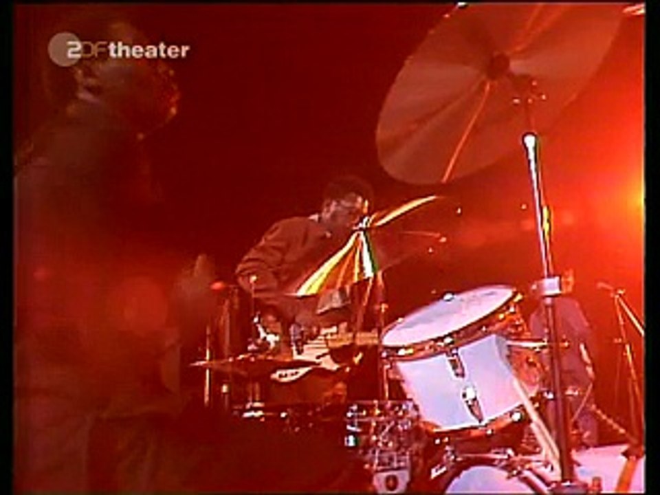 Muddy Waters - Got My Mojo Working (1973)