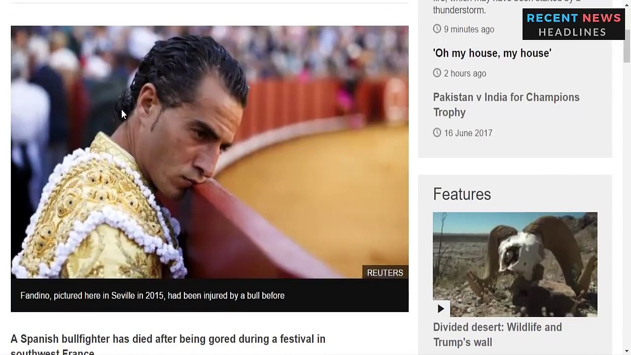 Matador Ivan Fandino killed in France bullfight (1)