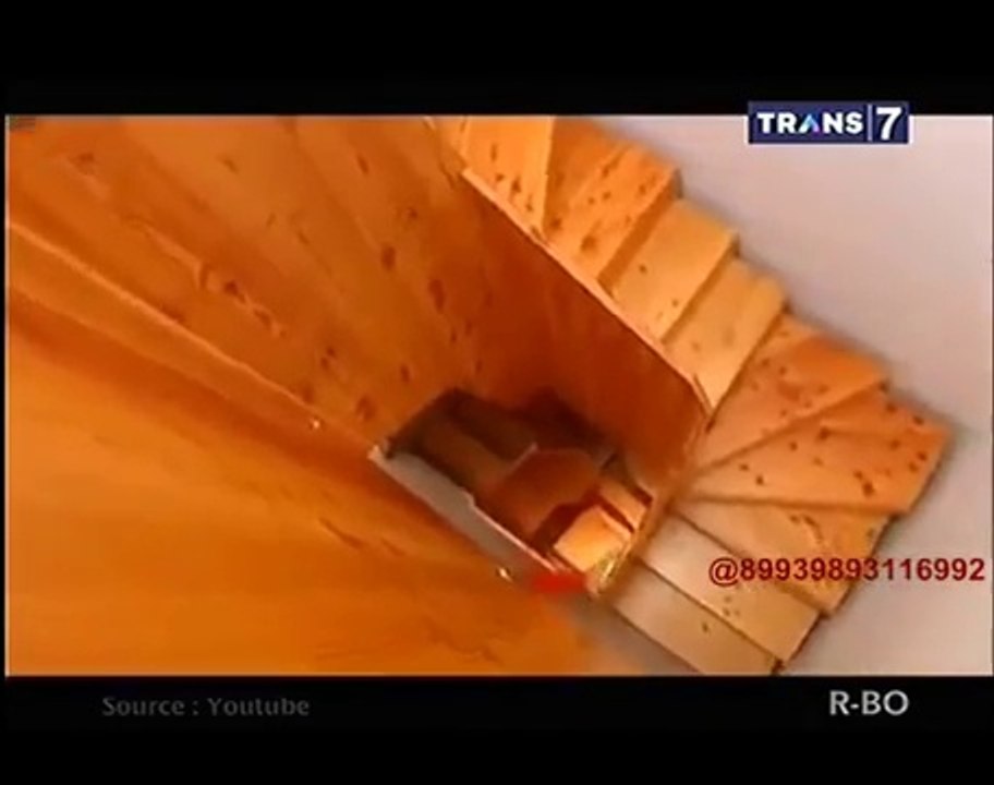Terkecil di dunia,,,