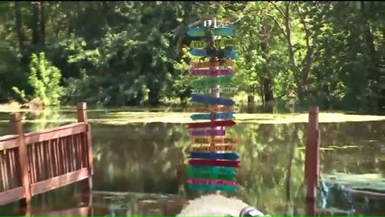 Septic Systems, Human Waste Backing Up in Flood-Ravaged Chicago Suburb