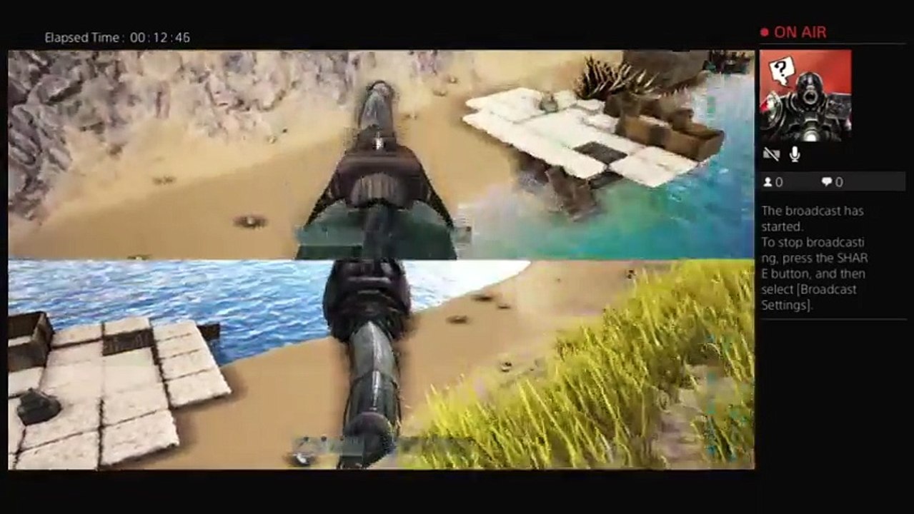 Ark (11)
