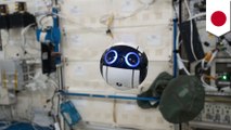 Drone lucu ini dikirim ke ruang angkasa untuk membantu astronot -Tomonews