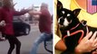 Anjing dilempar hingga melayang jauh oleh pengemudi Lyft - Tomonews
