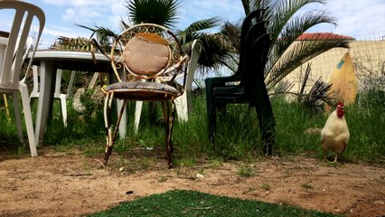 XGU 낙태수술 [낙태상담 ssuu22299@gmail.com ~메일로 문의하세요.] 낙태수술가능한병원