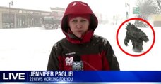 Pot Sasquatch Crashes Massachusetts Snowstorm News Coverage Hilariously