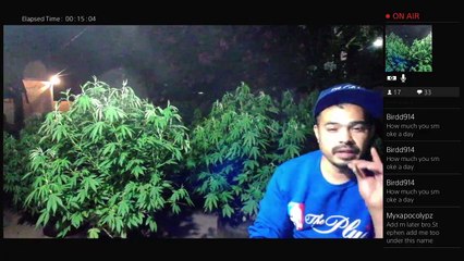 Get money bitch Get the job bitch (817)