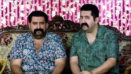 كامل مفيد اقوة كارثة قط في التاريخ #ولاية بطيخ #تحشيش