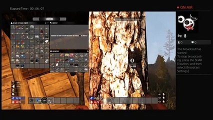 More 7 days to die (79)