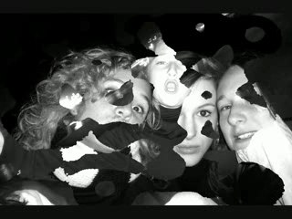 Soirée rouen   Beach boys