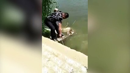 Il pensait faire une peche miraculeuse mais c'est raté. Regardez pourquoi