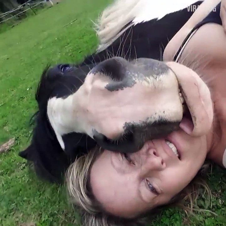 Son cheval est un peu trop calin... Ahaha