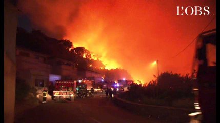 Incendies en Haute-Corse : "C'est une guérilla urbaine"