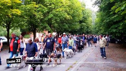 A la Parade des Animaux à Coudekerque-Branche