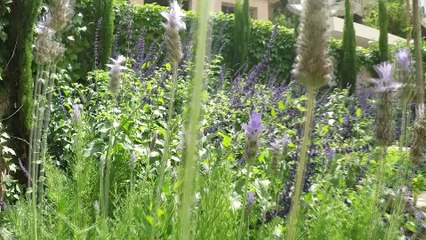 שי רודה גינון ונוף - צילום מסחרי