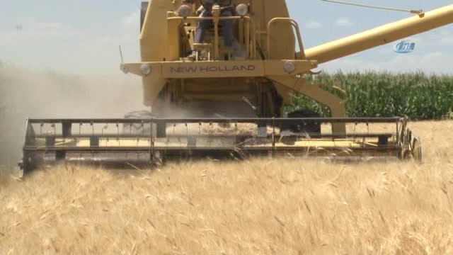 Konya Ovasında Kışın Bereketi Görülmeye Başlandı