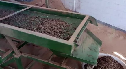 pellet  pres makinası