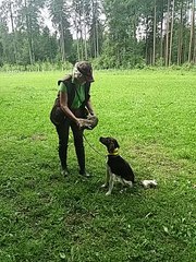 Bienchens erster Kontakt mit Karnikel