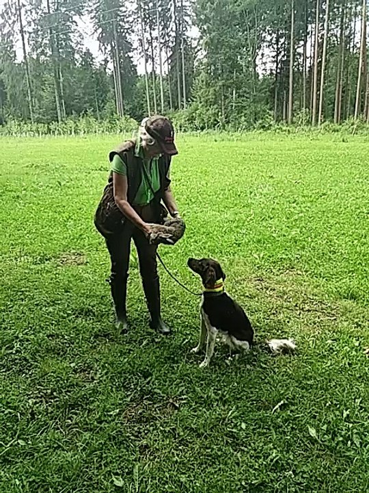 Bienchens erster Kontakt mit Karnikel