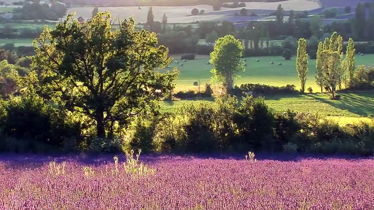 Watch the most beautiful and fascinating nature scenes of high quality in minutes