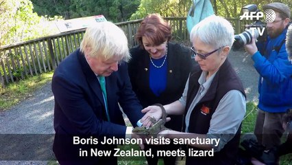 Britain's Johnson meets lizard at New Zealand sanctuary