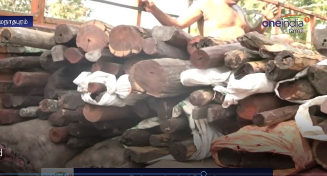 4 Crores Worth RedWood Seized in Ramanathapuram-Oneindia Tamil