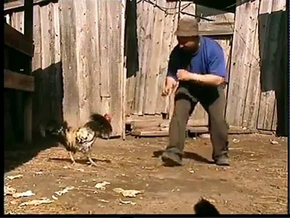 Like A Boss