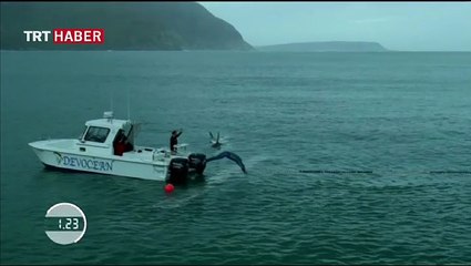 Ünlü yüzücü köpek balığıyla yarıştı