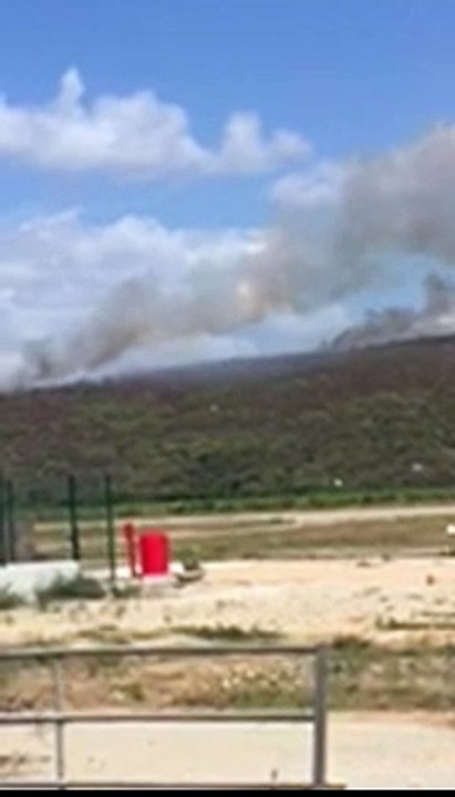 Propriano : Gros départ de feu à Capu Laurosu