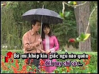 Nhật Ký Đời Tôi - Hoàng Lan, Trường Vũ KOK