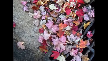 Αποφραξεις Μαρούσι – 2106852718 – Apofraχeis Marousi(2)