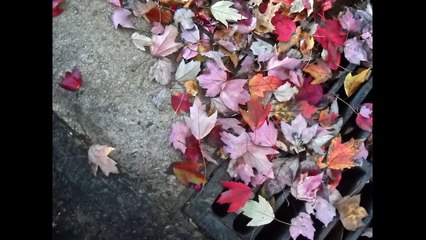 Αποφραξεις Αγία Παρασκευή – 2106852718 – Apofraχeis Agia Paraskeui