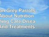 PDF download  African Grey Parrots All About Nutrition Training Care Diseases And Treatments free ebook