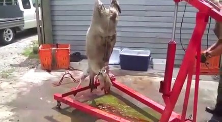 les meilleurs vidéos sur le web-les ouvriers incroyable