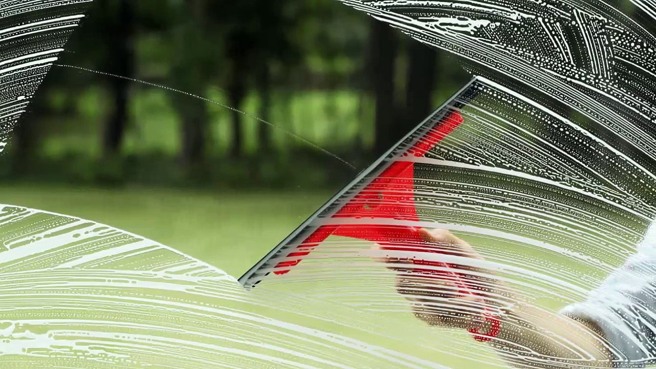 Squeegee Squad - (619) 324-4766