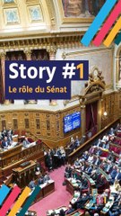 Story sénatoriales 2017 #1 : le rôle du Sénat