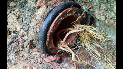 αποφραξεις-γέρακας-–-2106852718-–-apofraχeis-gerakas