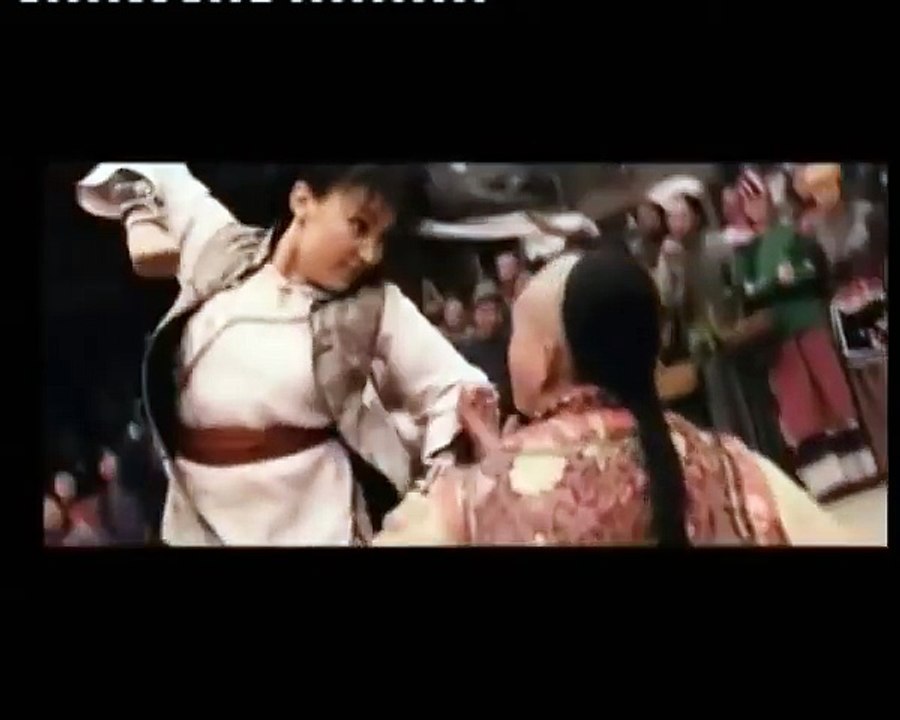 Kung-Fu Academy (2010) HD Streaming Complet Français (480p_25fps_H264-128kbit_AAC)