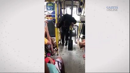 Jovem pula roleta dupla de ônibus da Grande Vitória