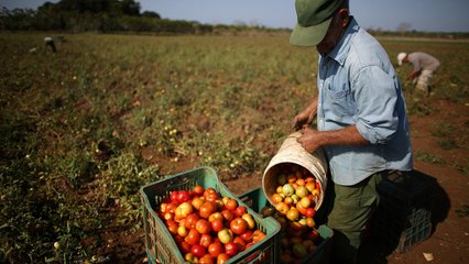 Operazione anticaporalato in tutta Italia