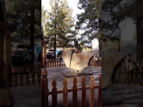 Dog Masters Mechanical Bull