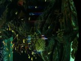 Tour Siam Fish Aquarium, Bangkok, Thailand