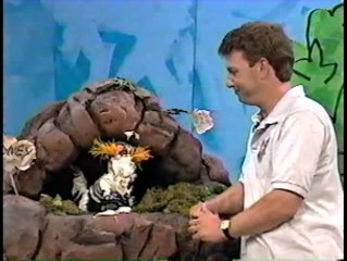 Nickelodeon's Weinerville Giant Spider