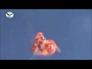 mirip pestiwa burung ababil menghancurkan pasukan gajah