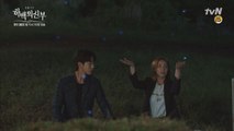 신세경♥남주혁 한 여름 밤 로맨틱한 반딧불 데이트!