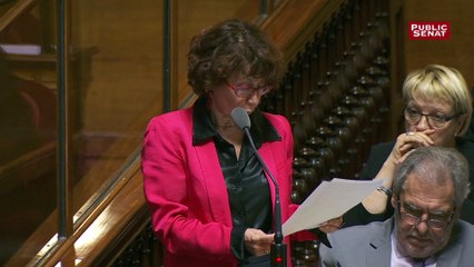 Laurence Cohen craint « un nouvel affaiblissement des obligations des entreprises en rognant les prérogatives de la branche, pourtant plus protectrice »